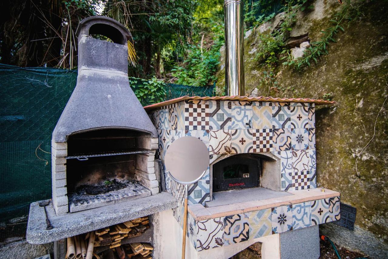 Villa Bertacchi - Inside And Out コモ エクステリア 写真